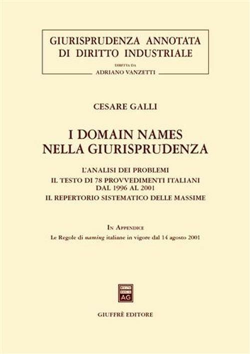 I domain names nella giurisprudenza. L'analisi dei problemi. Il testo di 78 provvedimenti italiani dal 1996 al 2001. Il repertorio sistematico delle massime - Cesare Galli - copertina
