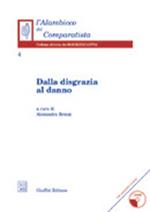 Dalla disgrazia al danno. Con CD-ROM