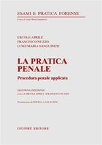 La pratica penale. Procedura penale applicata