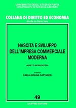 Nascita e sviluppo dell'impresa commerciale moderna. Aspetti introduttivi