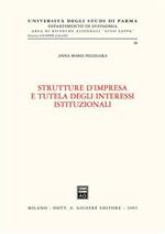 Strutture d'impresa e tutela degli interessi istituzionali