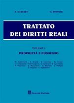 Trattato dei diritti reali. Vol. 1: Proprietà e possesso.