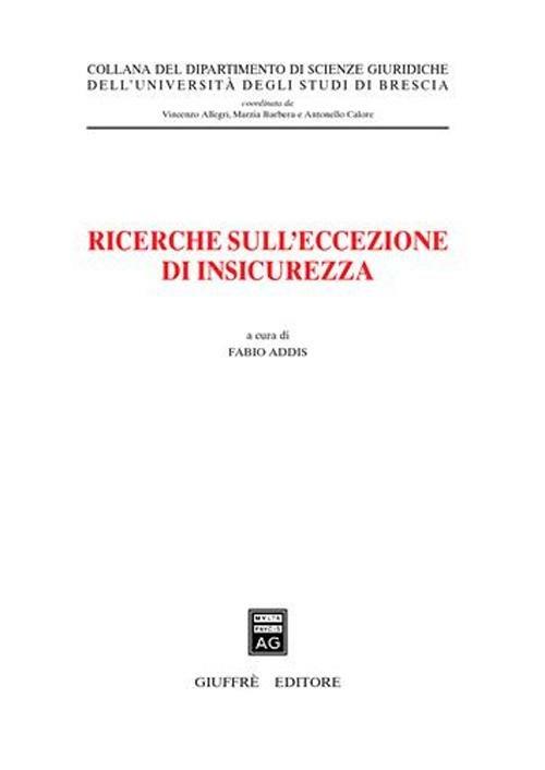 Ricerche sull'eccezione di insicurezza - copertina