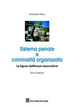Sistema penale e criminalità organizzata. Le figure delittuose associative