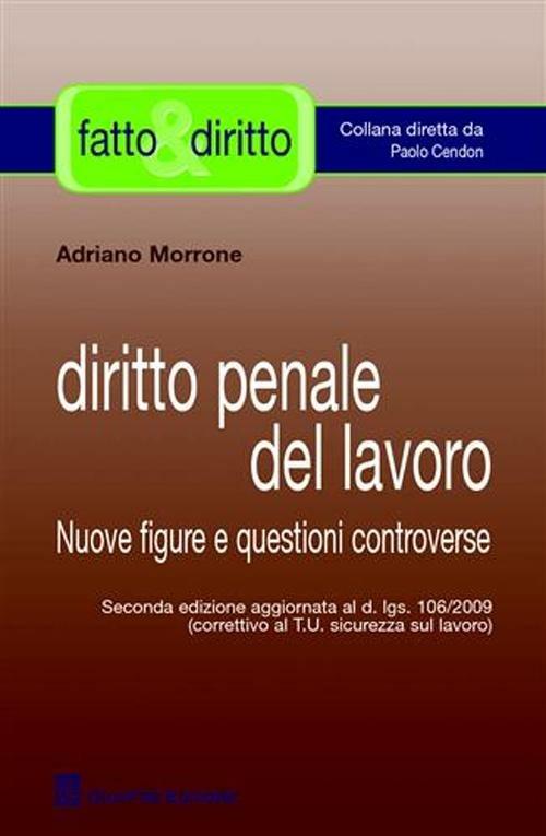 Diritto penale del lavoro. Nuove figure e questioni controverse - Adriano Morrone - copertina