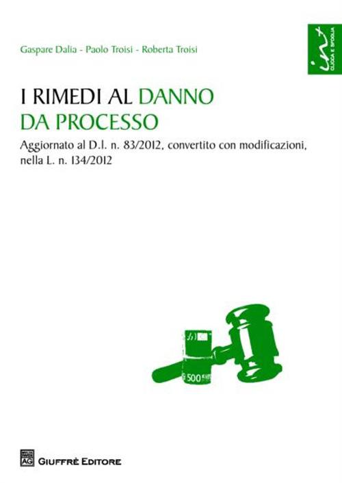 I rimedi al danno da processo - Gaspare Dalia,Paolo Troisi,Roberta Troisi - copertina