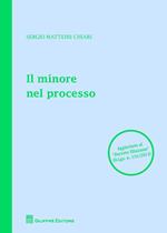 Il minore nel processo