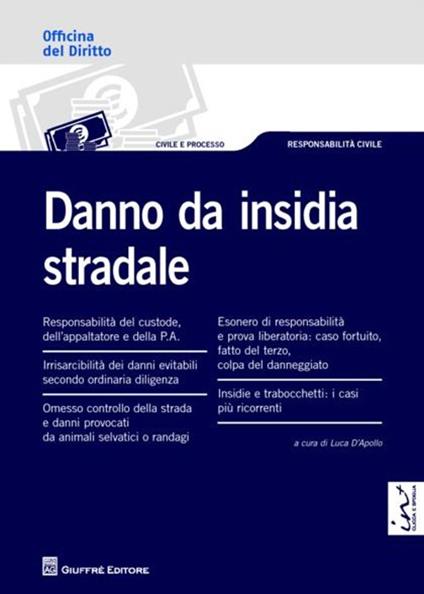 Danno da insidia stradale - copertina