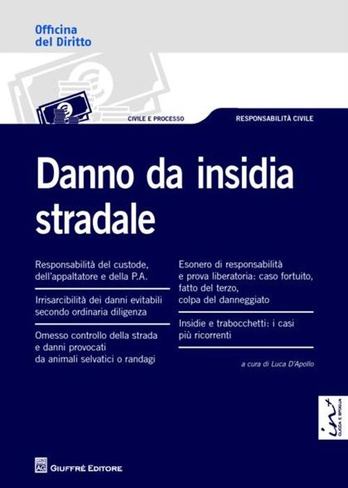 Danno da insidia stradale - copertina