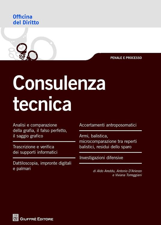 Consulenza tecnica - Aldo Areddu,Antonio D'Arienzo,Viviana Torreggiani - copertina