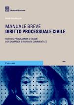 Diritto processuale civile. Manuale breve