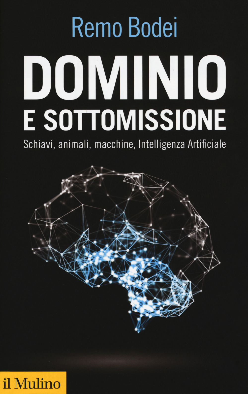 Libraccio