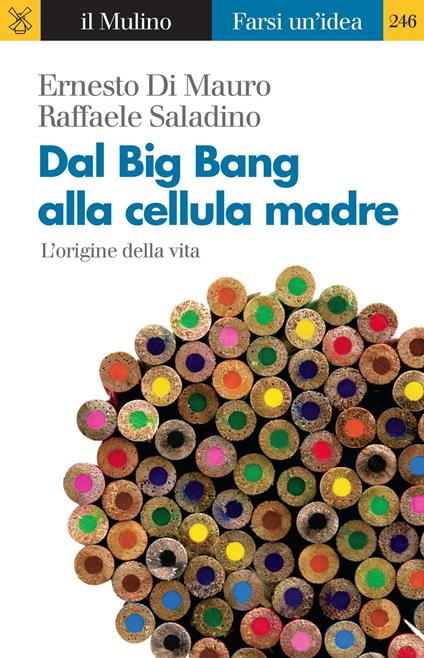 Dal Big Bang alla cellula madre. L'origine della vita - Ernesto Di Mauro,Raffaele Saladino - ebook