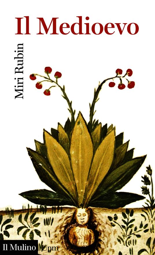Il Medioevo - Miri Rubin,F. P. Terlizzi - ebook