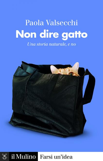 Non dire gatto. Una storia naturale, e no - Paola Valsecchi - ebook