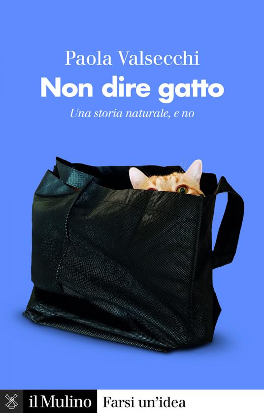 Non dire gatto. Una storia naturale, e no - Paola Valsecchi - ebook