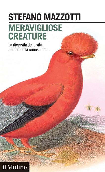 Meravigliose creature. La diversità della vita come non la conosciamo - Stefano Mazzotti - copertina