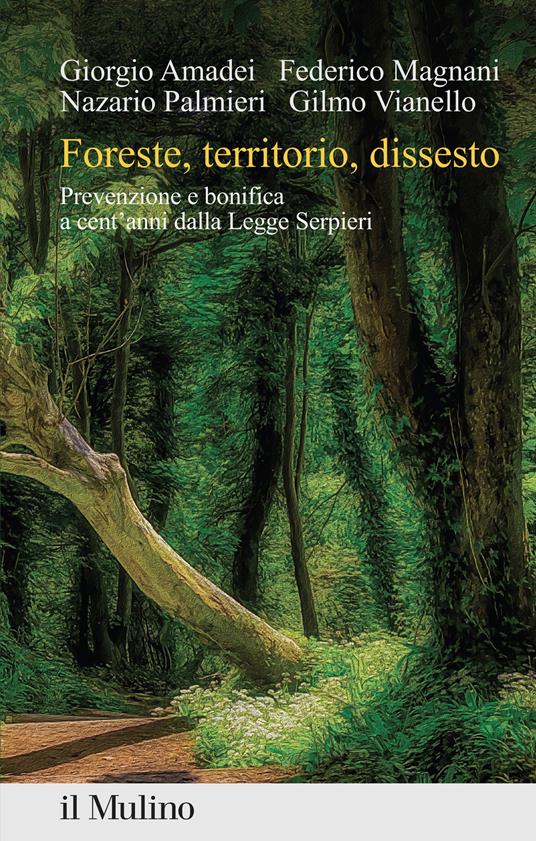 Foreste, territorio, dissesto. Prevenzione e bonifica a cent'anni dalla Legge Serpieri - Giorgio Amadei,Federico Magnani,Nazario Palmieri - copertina