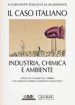 Il caso italiano. Industria, chimica e ambiente. Con CD-ROM