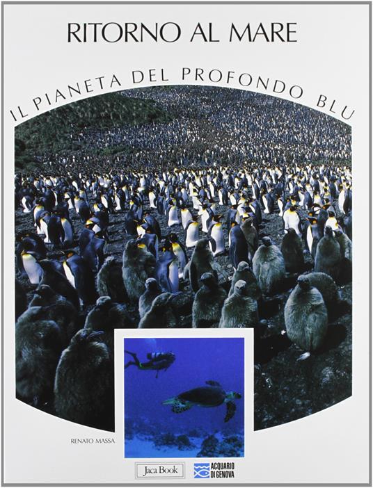 Ritorno al mare - Renato Massa - copertina