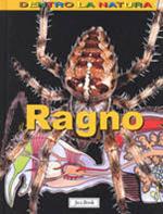 Il ragno