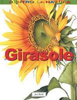 Il girasole - Andrew Hipp - copertina