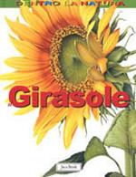 Il girasole