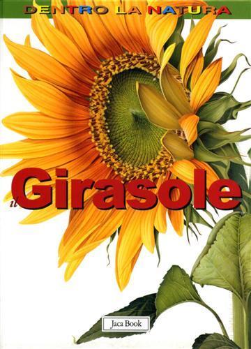 Il girasole - Andrew Hipp - 2