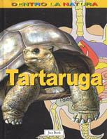 La tartaruga - Gillian Houghton - 3