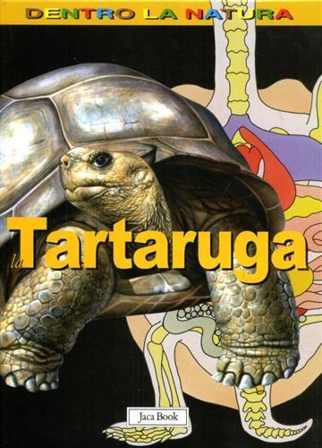 La tartaruga - Gillian Houghton - copertina