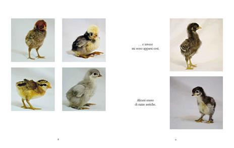 Le mie galline e io - Isabella Rossellini - 3