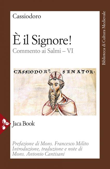 È il Signore! Commento ai Salmi. Vol. 6 - Flavio Magno Aurelio Cassiodoro,Antonio Cantisani - ebook