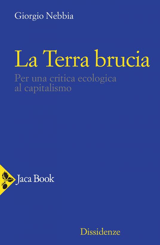La Terra brucia. Per una critica ecologica al capitalismo - Giorgio Nebbia - ebook