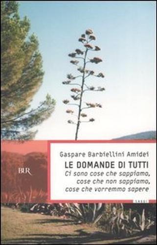 Le domande di tutti. Ci sono cose che sappiamo, cose che non sappiamo, cose che vorremmo sapere - Gaspare Barbiellini Amidei - copertina