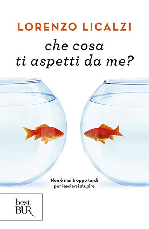 Che cosa ti aspetti da me? - Lorenzo Licalzi - 4