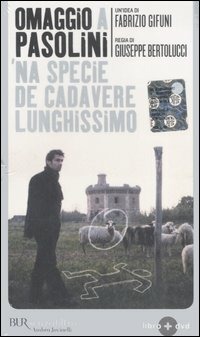 Libraccio
