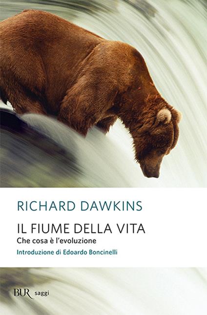 Il fiume della vita. Che cosa è l'evoluzione - Richard Dawkins - copertina