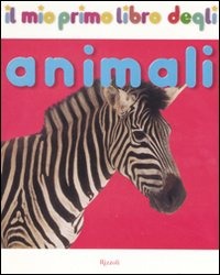 Libraccio