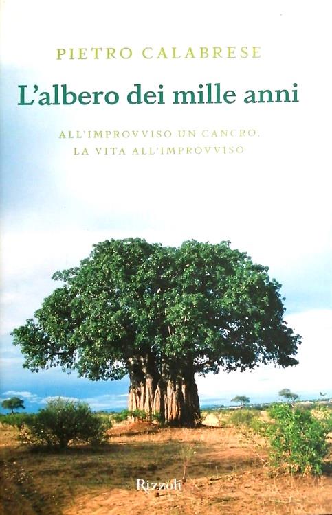 Firenze Libri