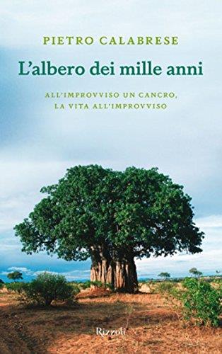 Libreria Serendipity
