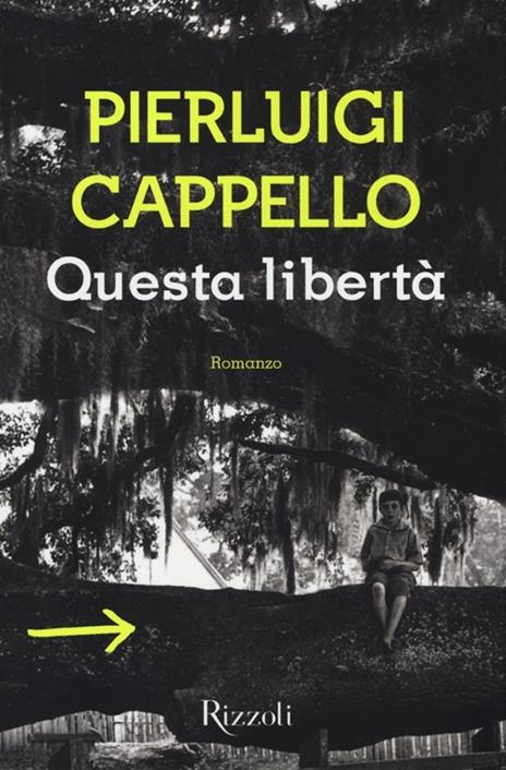 Questa libertà - Pierluigi Cappello - 4