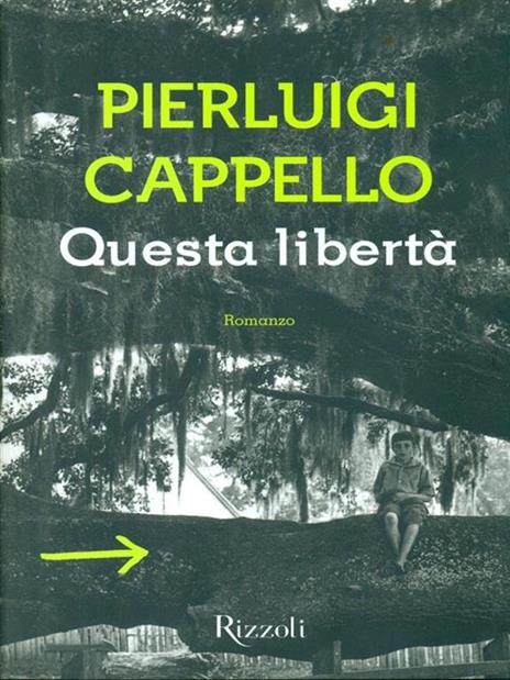 Questa libertà - Pierluigi Cappello - copertina