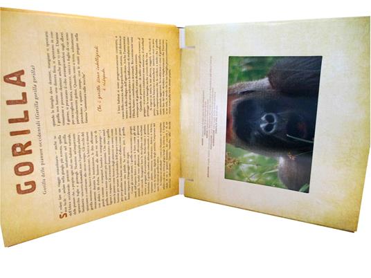 Safari. Un libro illustrato in Photicular®. Ediz. illustrata - Carol Kaufmann,Dan Kainen - 3