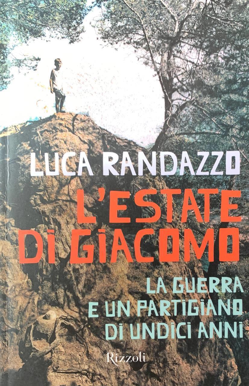 Librisaggi