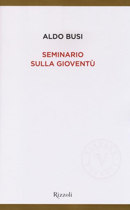 Seminario sulla gioventù - Aldo Busi - copertina