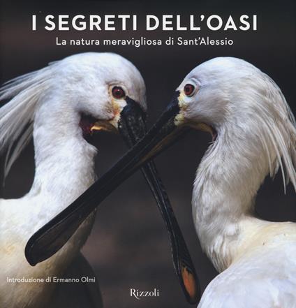 I segreti dell'Oasi. La natura meravigliosa di Sant'Alessio. Ediz. illustrata - copertina