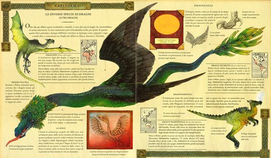 Dragologia. Il libro completo dei draghi. Ediz. illustrata - Ernest Drake - 5