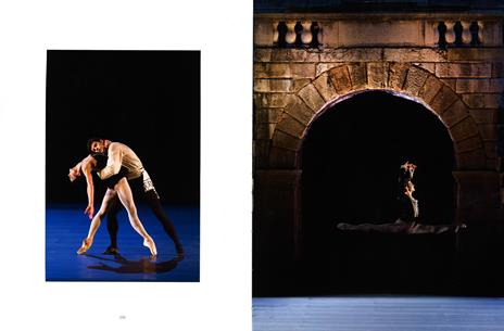 Viaggio nella bellezza. Ediz. illustrata - Roberto Bolle - 5