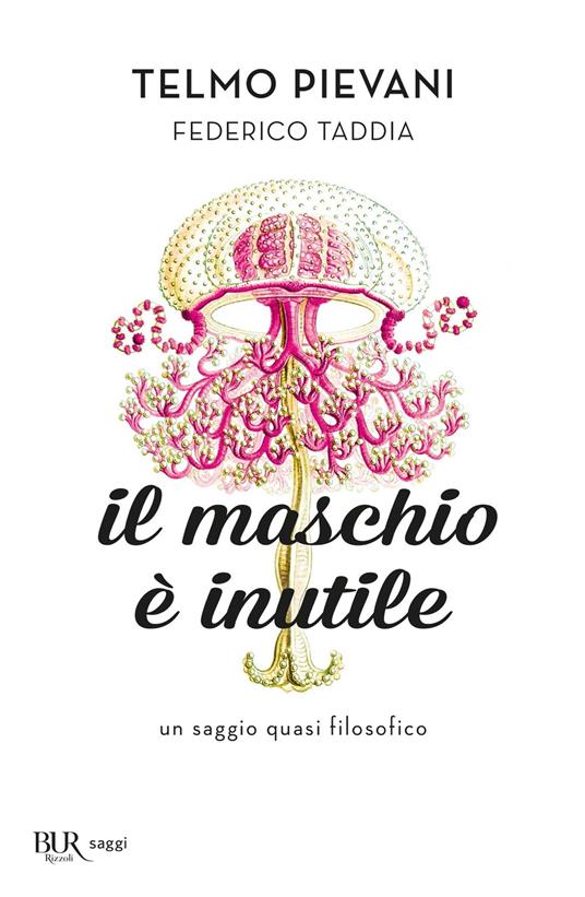Il maschio è inutile. Un saggio quasi filosofico - Telmo Pievani,Federico Taddia - copertina