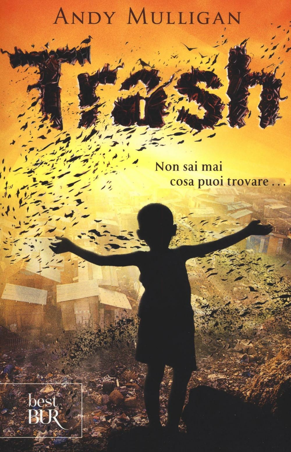 Libraccio